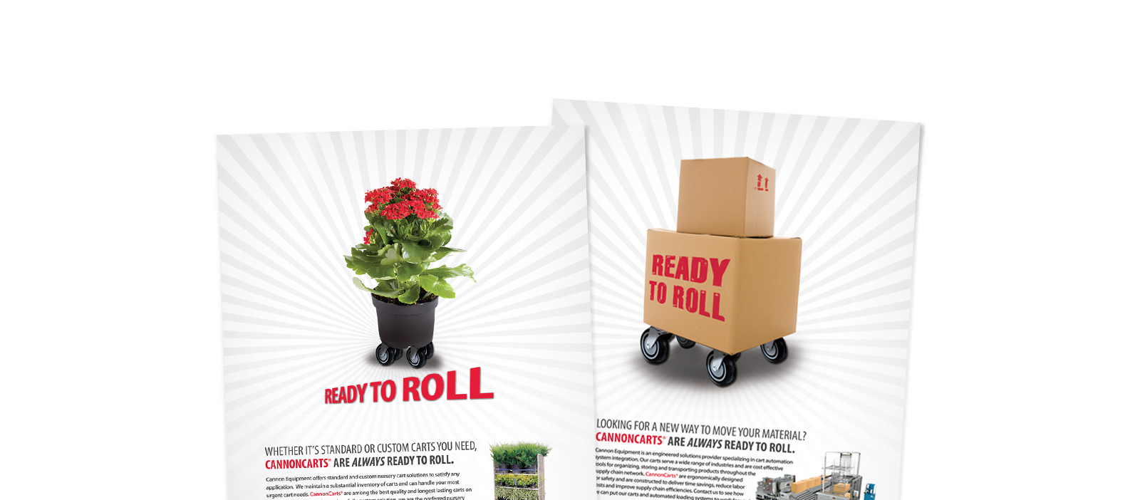 CK_Top_Graphic-CaseStudy-Cannon