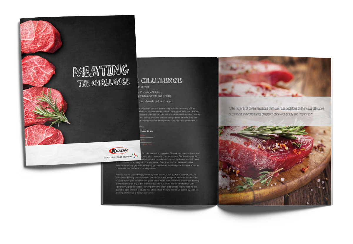 Kemin Meat Brochure Kemin Meat Brochure