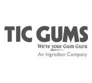 TIC_logo